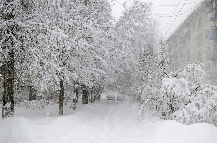 Snowfall in the suburbs - My, Longpost, 2018, Winter, Moscow region, Snowfall