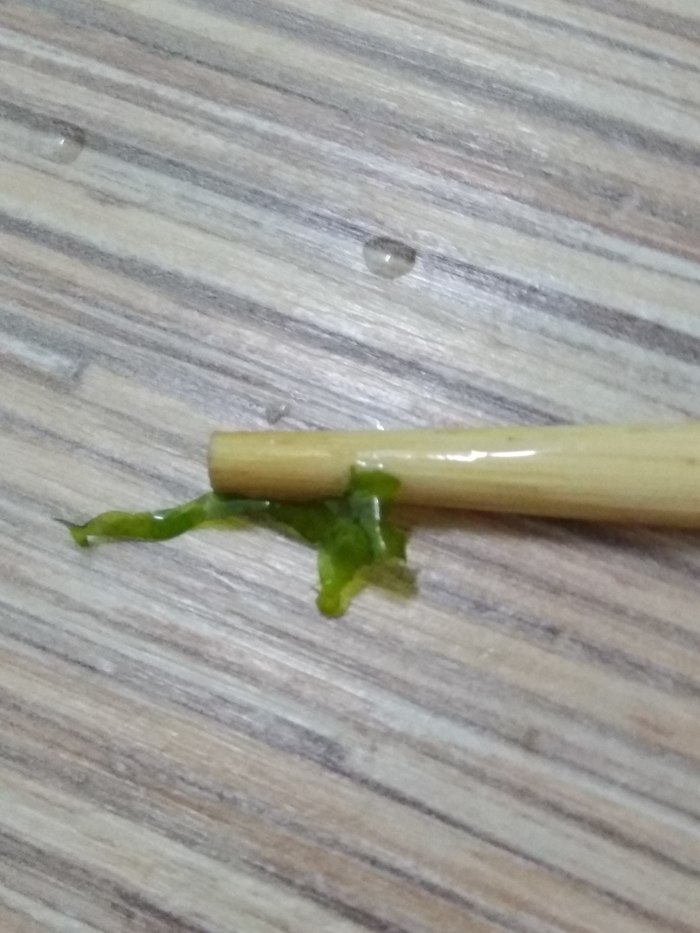 .    ?  , , 