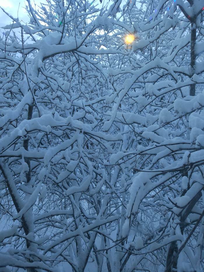 View from the window, 3rd floor - My, Snow, Winter