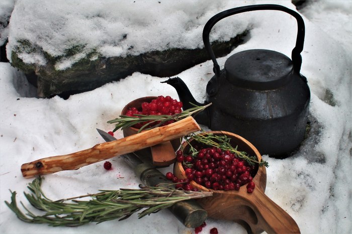 Proper tea! - Tea, Hike, Туристы, Tourism, Forest, Food, Nature, Leisure