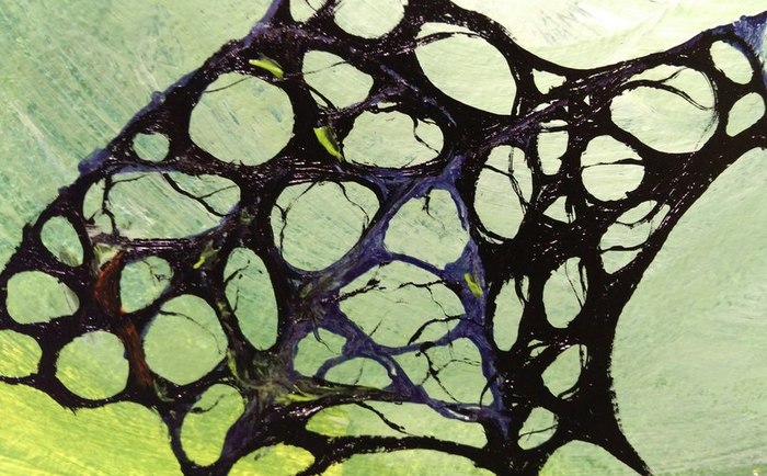 �������� ����� ��������