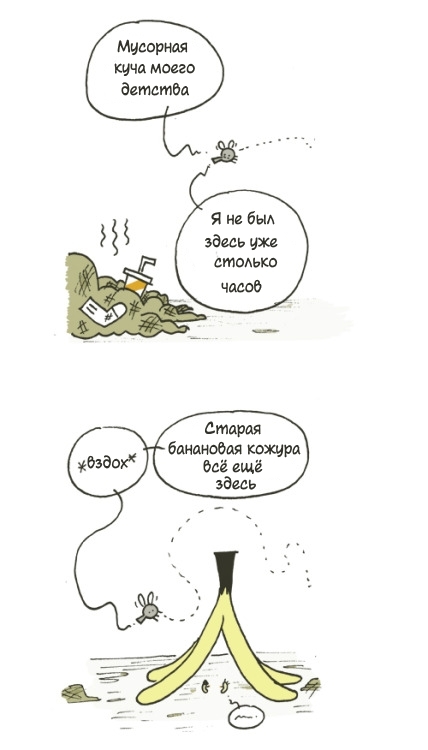 Insect life - Comics, Humor, Funny, Joke, Translation, Insects, Childhood, Memories