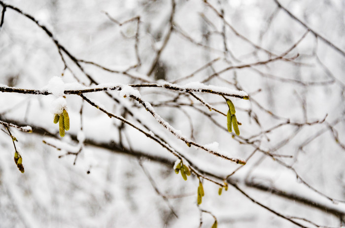 Winter landscapes - My, Winter, Moscow, Landscape, Longpost