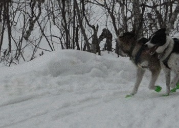 В тапочках