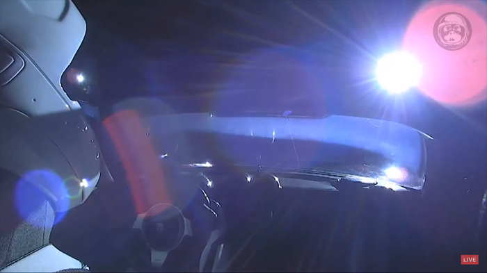 Они даже здесь