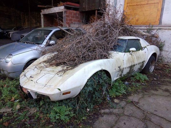 abandoned - Auto, Chevrolet corvette, Retro car, Lost