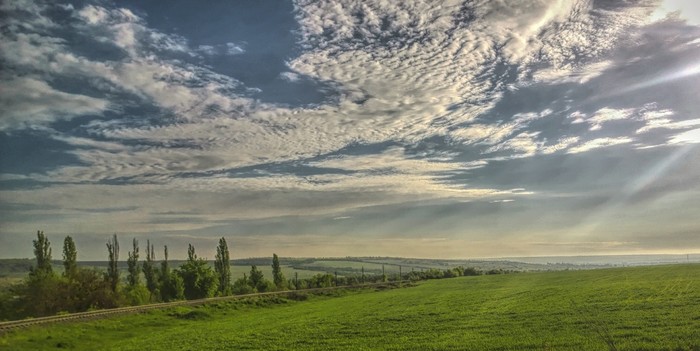 How to say SUMMER in different languages ??of the world - My, Longpost, Green Field, Summer