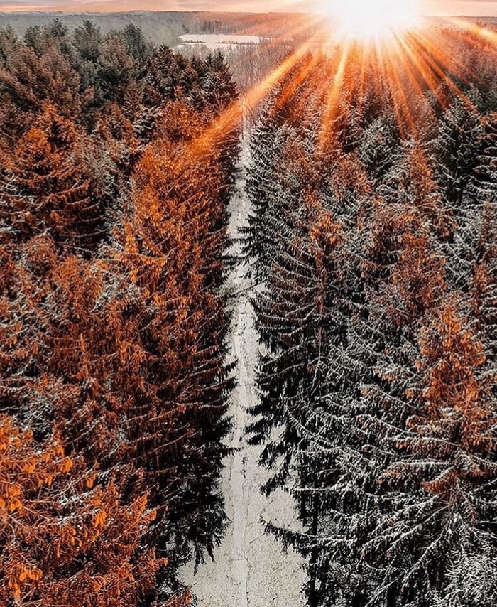 In the rays of a winter sunset - Sunset, Nature, DJI Mavic PRO, The photo, Quadcopter, Forest, Winter forest