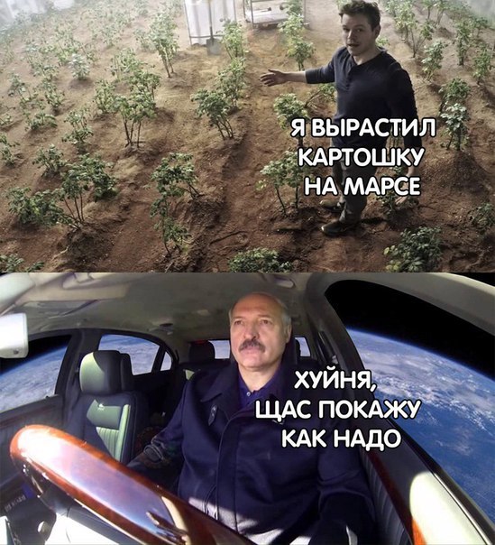 Meanwhile, while Elon Max separates the stages and launches the car to Mars... - Potato, Alexander Lukashenko, , Elon Musk, Memes, Yearnot, Tag, 