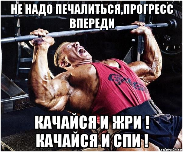 Universal training program - My, Sport, Тренер, Sports Tips, Muscle, Health, Training program, Gym, Physical Education, Longpost