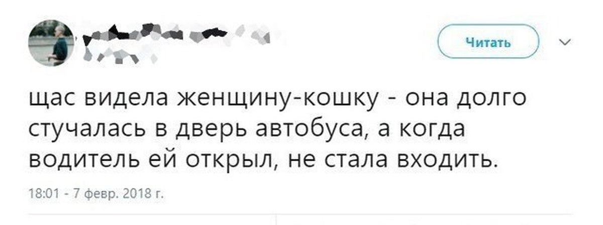 Сейчас вижу. Самая крутая короткая история про постучали. А,сейчас видишь?. Анекдот женщина как кошка. Женщина как кошка описание шуткам.