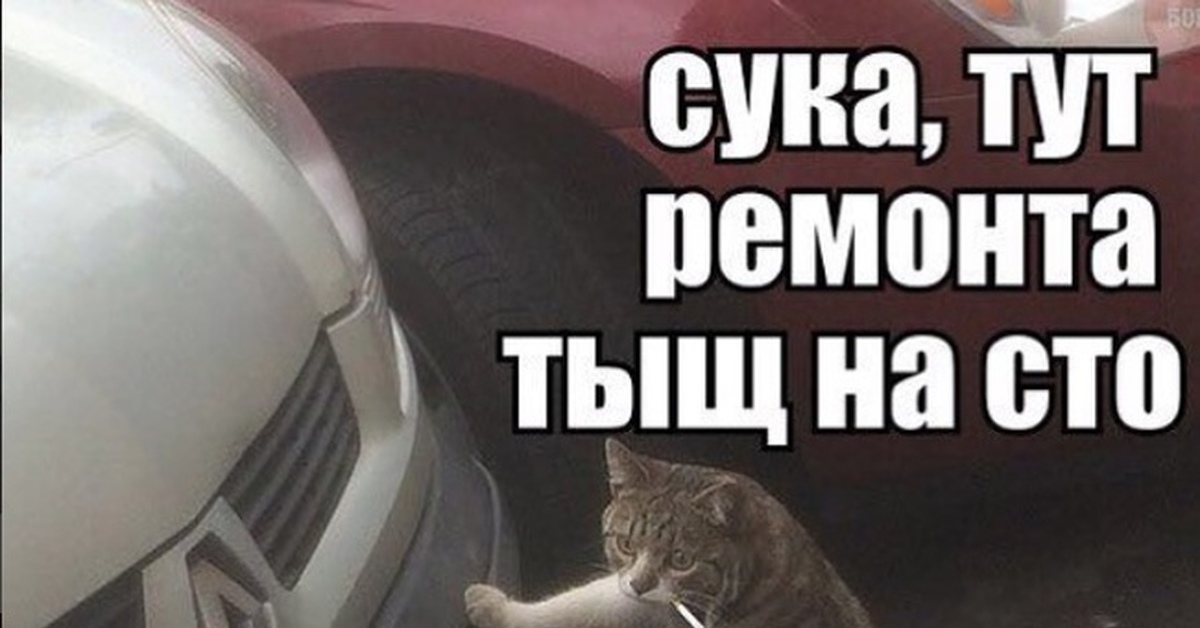 Кот с гаечным ключом и сигаретой мем