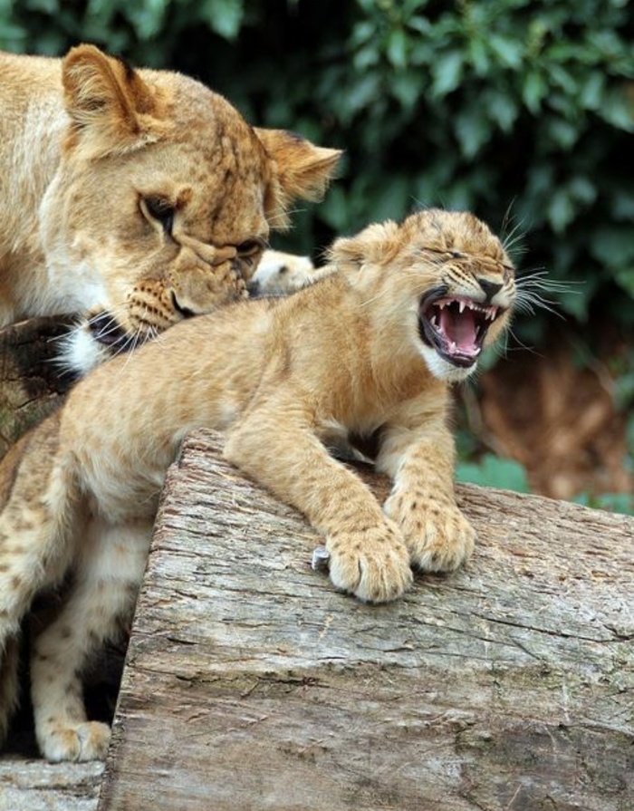 ����, � ������ �� ����!