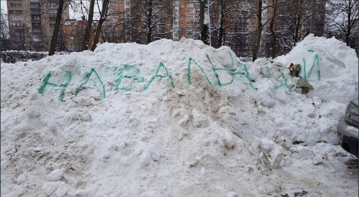 An effective way to trigger snow removal - Alexey Navalny, Snow removal, From the network, Politics