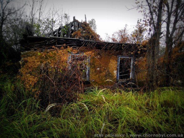 Graveyard of radioactive equipment in the Chernobyl zone 2018 - My, Chernobyl, Pripyat, Dryness, Military equipment, Technics, Longpost