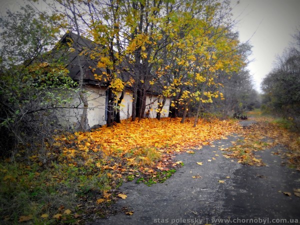 Graveyard of radioactive equipment in the Chernobyl zone 2018 - My, Chernobyl, Pripyat, Dryness, Military equipment, Technics, Longpost