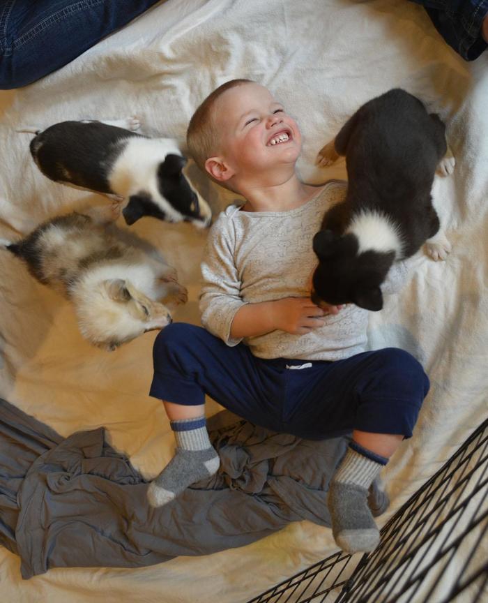 Sometimes it takes so little to be happy - Children, Dog, Puppies, , Happiness