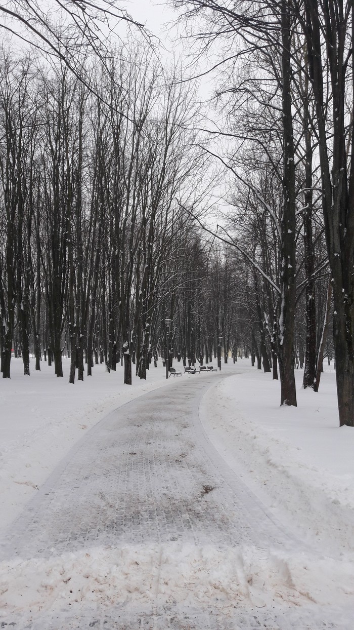 Walk in the winter park - My, Mobile photography, Samsung Galaxy a5, Photo on sneaker, Minsk, Winter, Longpost