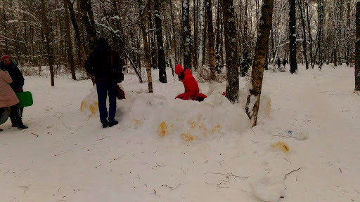 Bipedal upbringing - My, Dog, Children, Winter, Games, Moscow, The park