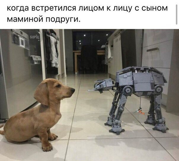 Опять про вечное