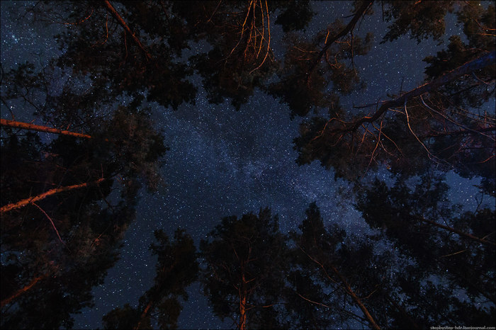 ������ �� ����������