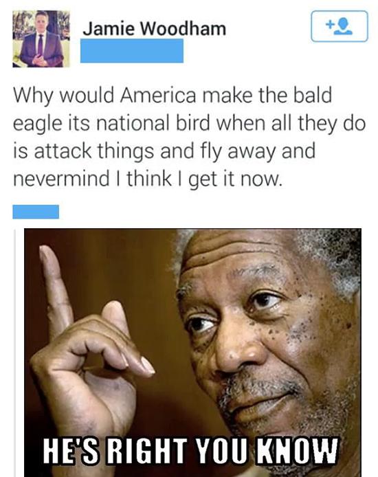 Entertaining ornithology - Twitter, 9GAG, Picture with text, Morgan Freeman, USA