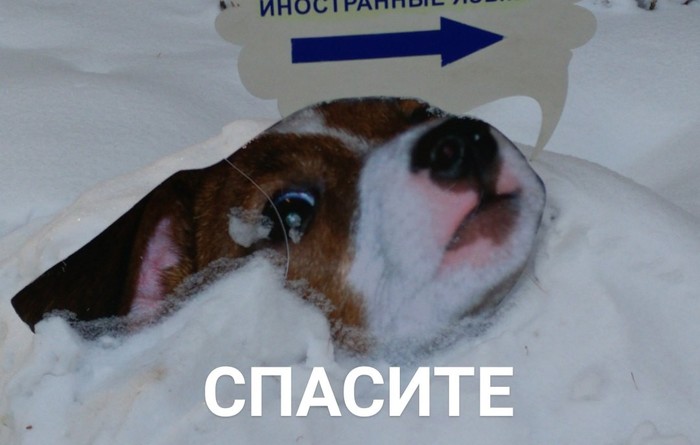 Работа промоутера в одной фотографии... | Пикабу