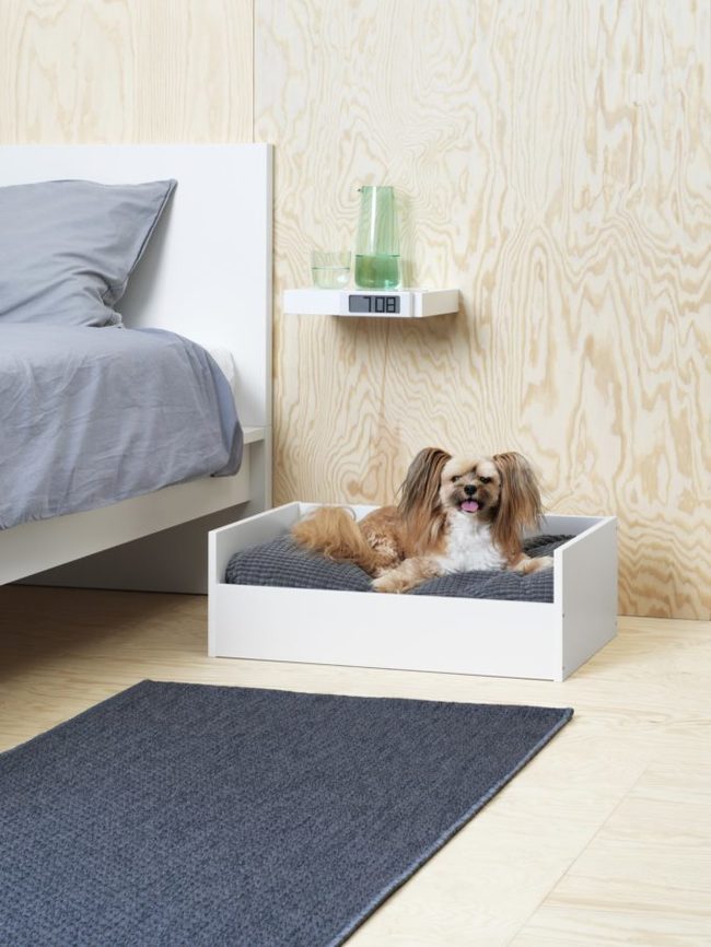 IKEA has released a collection of furniture for animals. - IKEA, cat house, Dog, Furniture, Video, Longpost