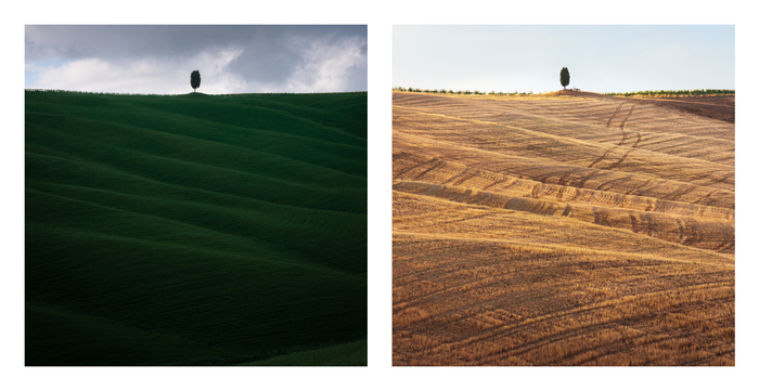 ����� � ����