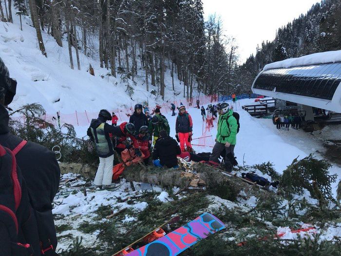 A tree fell on the Rosa Khutor ski slope. - Sochi, Krasnaya Polyana, State of emergency, Tree, Adler