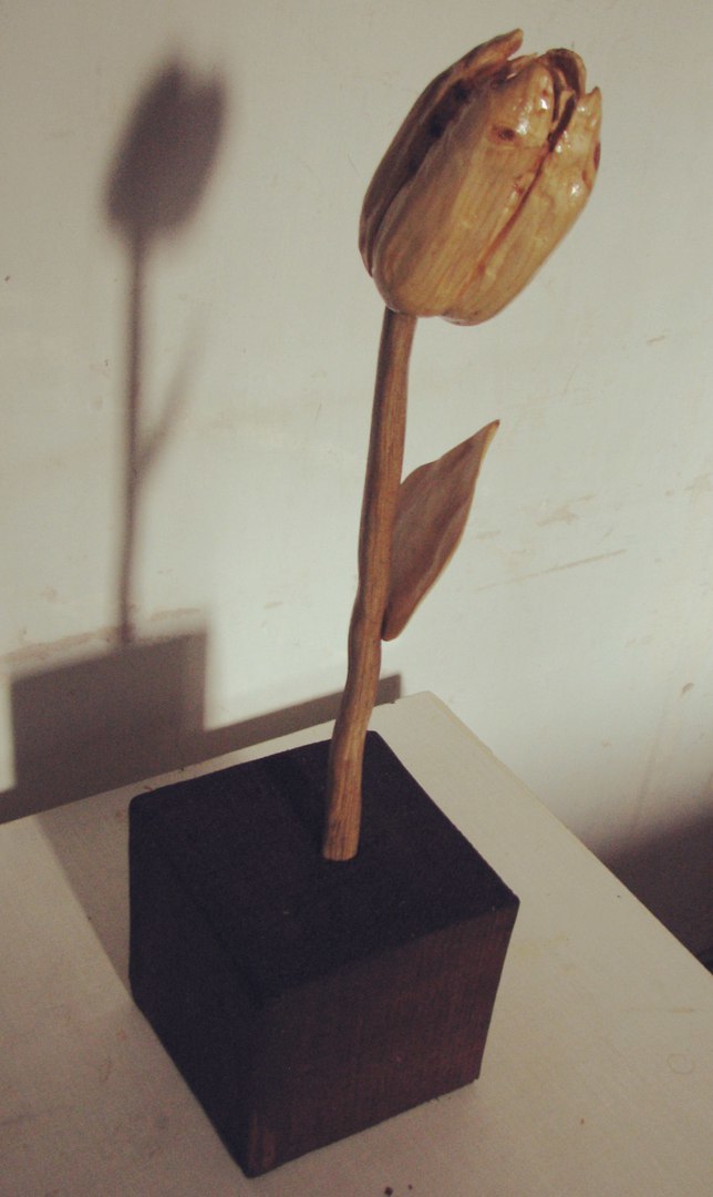 Tulip made of wood, woodcarving - My, Tulips, Flowers, Wood carving, Longpost