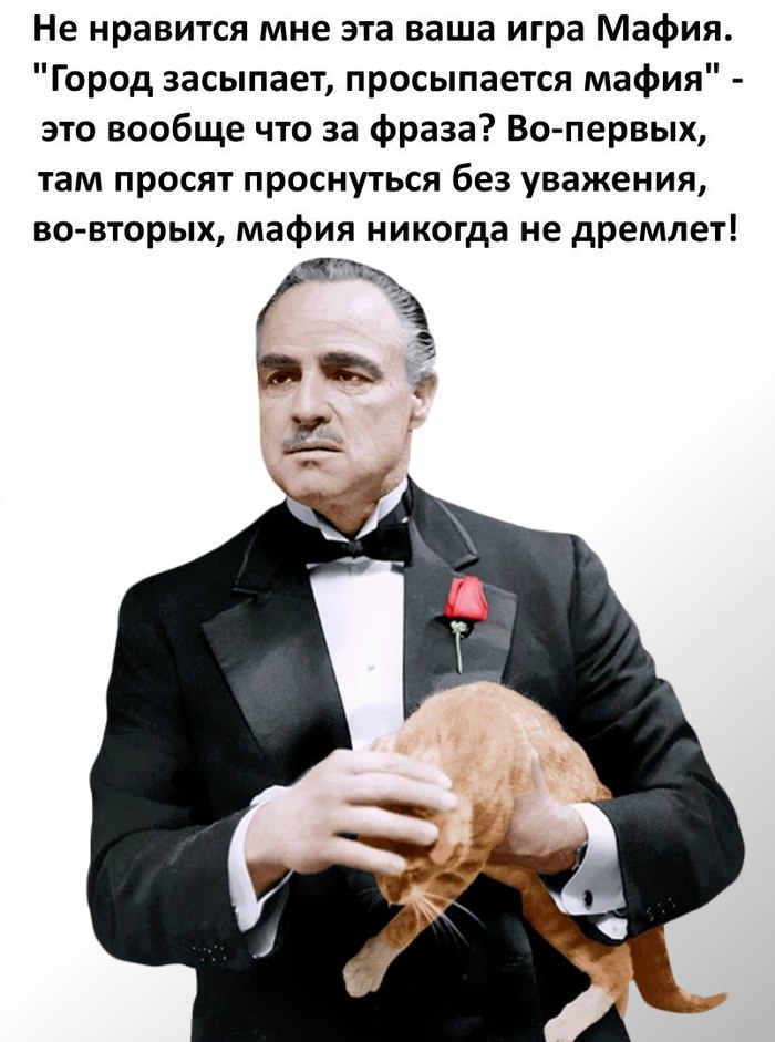 Mafia - Mafia, Godfather, Card game, cat, Kinda geek, Respect