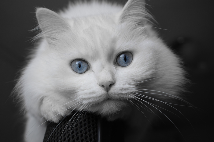 Просто Боня)