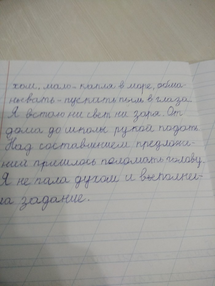 The hard life of a sophomore - Homework, My, Russian language, School