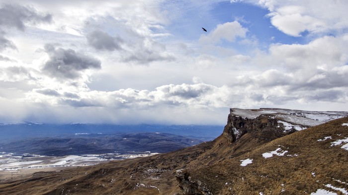 Eagles. - My, The photo, Travels, Travel across Russia, Birds, Hike, Longpost