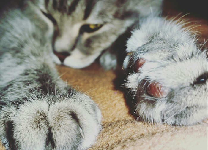 ���� � �����)))