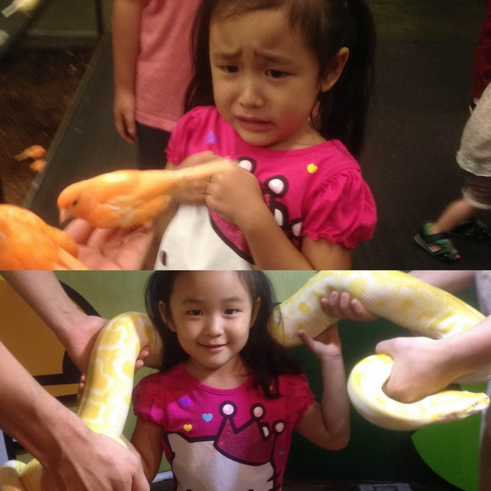 Happiness is not in birds, but in snakes! - Snake, A parrot, Girl, Asian, Happiness