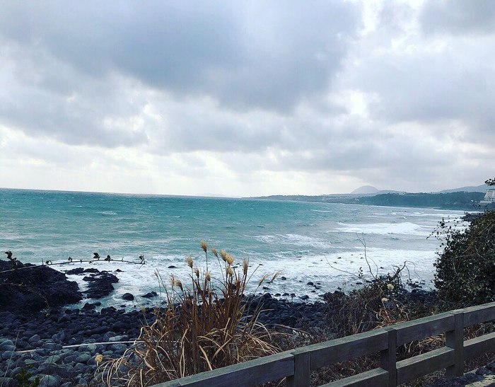 1519139752128212568 чеджу еда что это