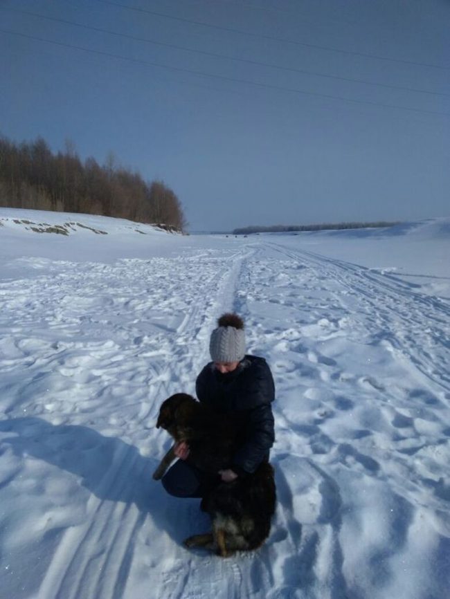 Someone threw a sick dog on the river ice... The poor fellow froze, the fishermen had to thaw him with fire! - Help, Dog, The rescue, Animals, Video, Longpost