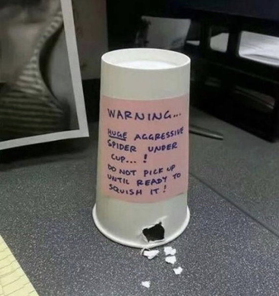 office prank - Spider, Arachnophobia, Office, Prank