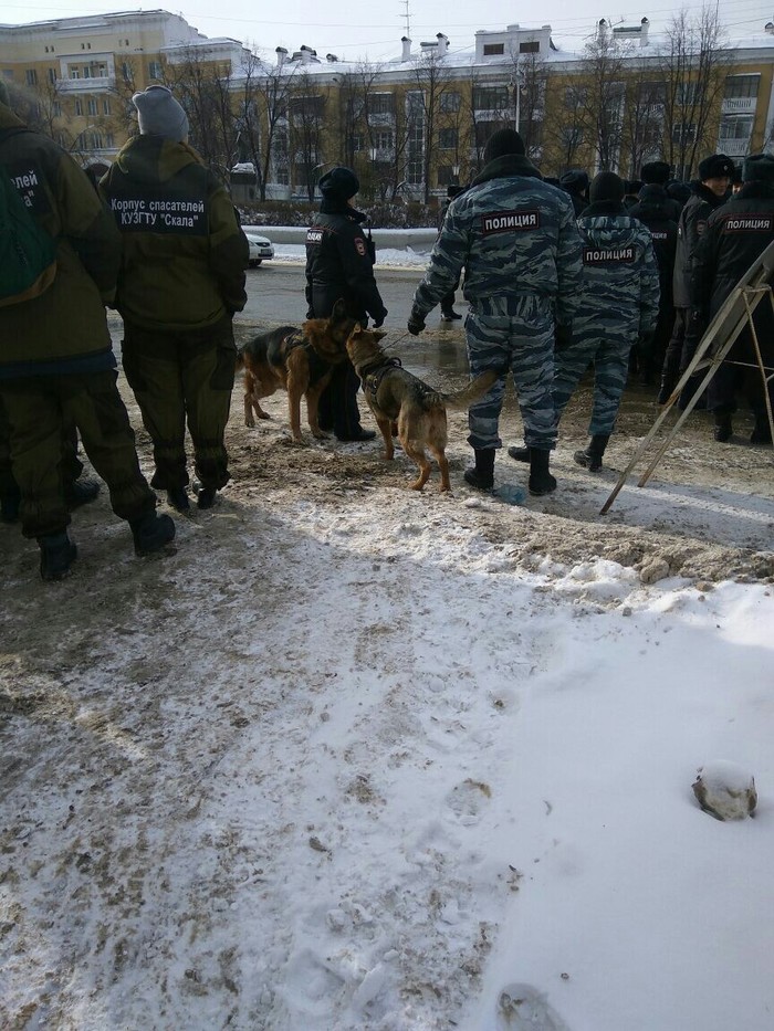 When at work, but really want warmth and affection - My, Police, Service dogs