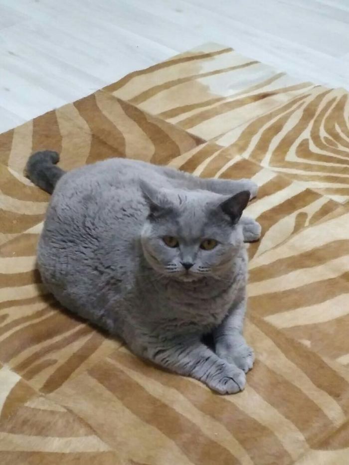   ,      ! , , , 