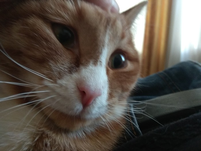 Когда узнал что пиво бродит месяц