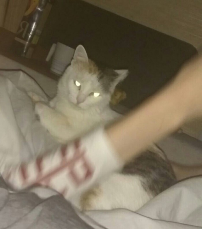  ,   ... , 