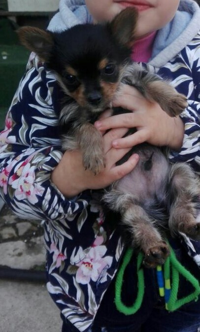 ������ �������!