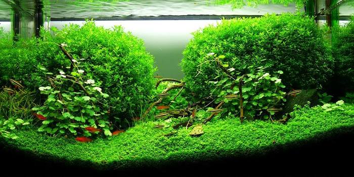 Отличная работа и фотография, © Альберто Соса, испанский скейпер.