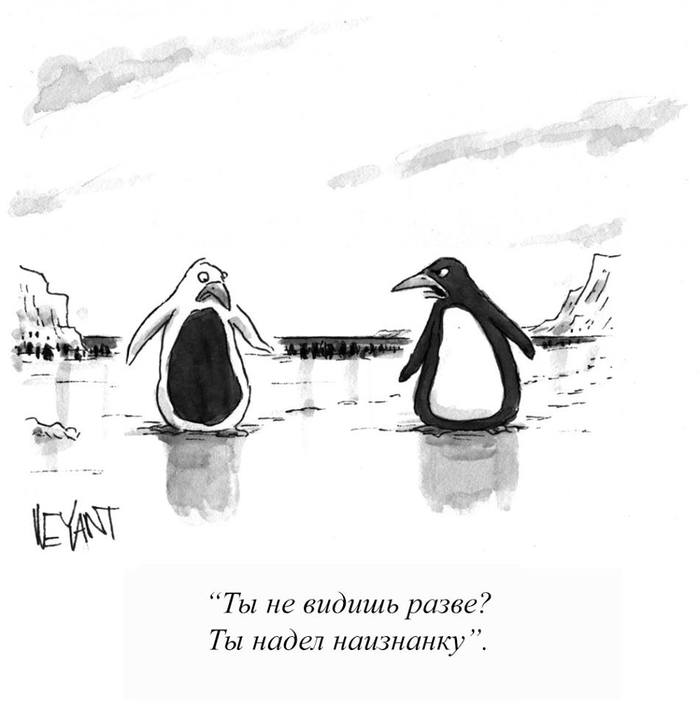 Don't put it on like that - Comics, Penguins, The new yorker, New Yorker Magazine