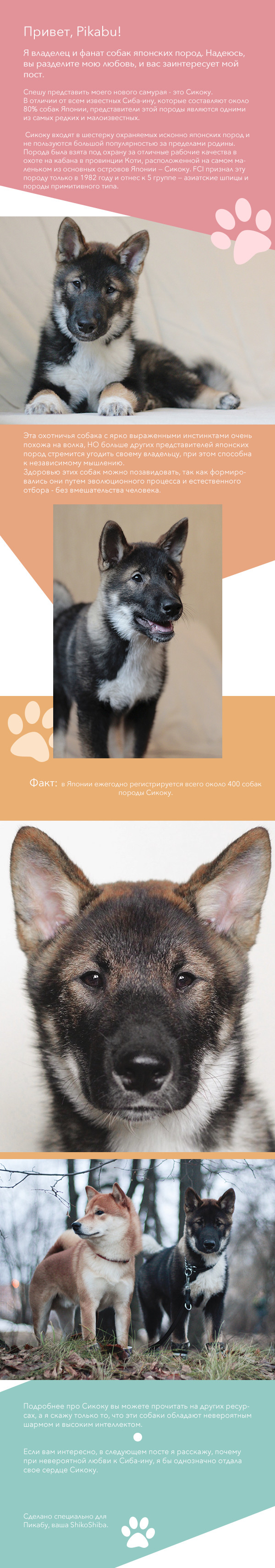 Сикоку-не остров.