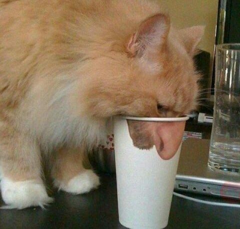 Показалось.