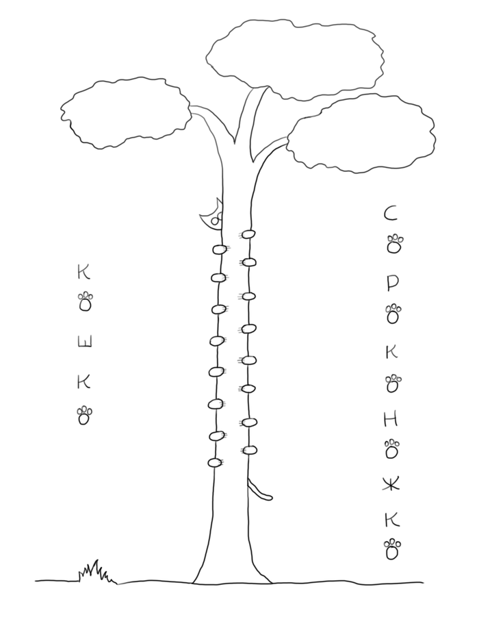 �����-�����������